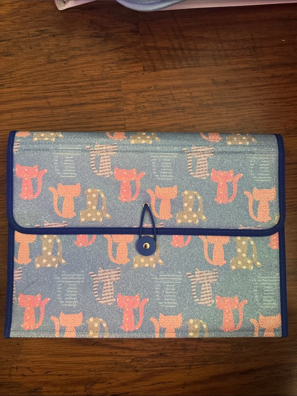 Glitter Blue Cat Print 6 File Pocket Holder C1.Bk.RM2